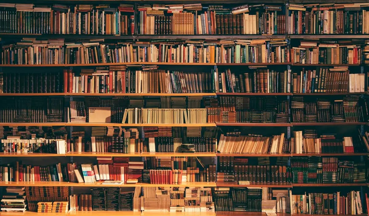 Estantes repletas de livros e volumes encadernados
